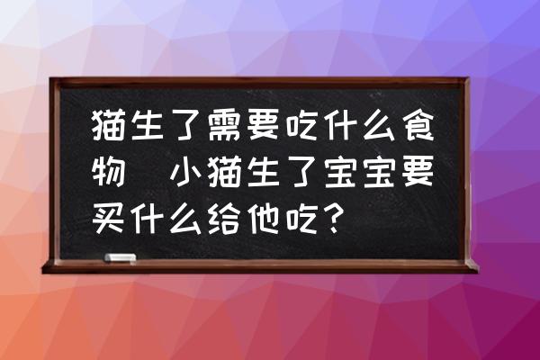 貓生了需要吃什么食物(小貓生了寶寶要買什么給他吃？)
