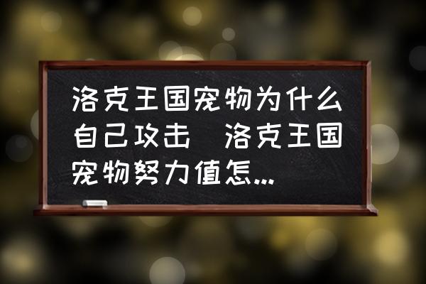 洛克王國寵物為什么自己攻擊(洛克王國寵物努力值怎么提升？)