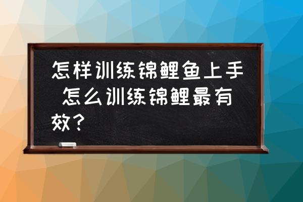 怎樣訓(xùn)練錦鯉魚(yú)上手 怎么訓(xùn)練錦鯉最有效？