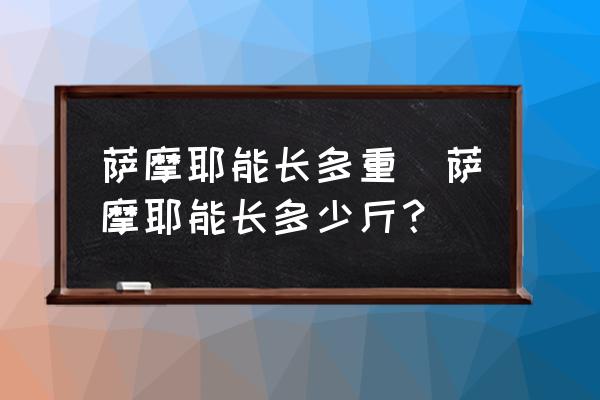 薩摩耶能長(zhǎng)多重(薩摩耶能長(zhǎng)多少斤？)