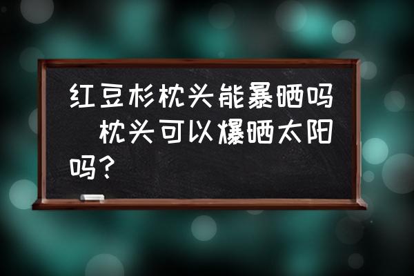 紅豆杉枕頭能暴曬嗎(枕頭可以爆曬太陽嗎？)