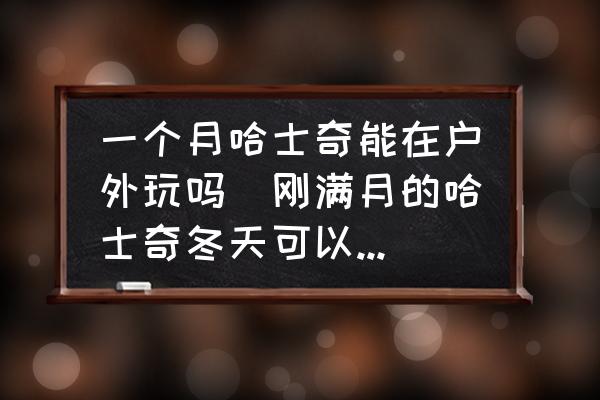一個月哈士奇能在戶外玩嗎(剛滿月的哈士奇冬天可以睡在室外嗎？)