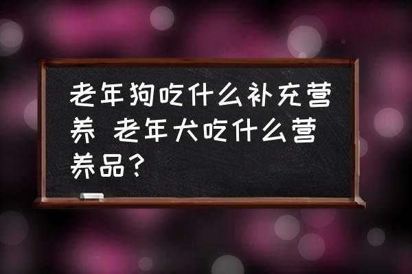 老年狗吃什么補(bǔ)充營(yíng)養(yǎng) 老年犬吃什么營(yíng)養(yǎng)品？