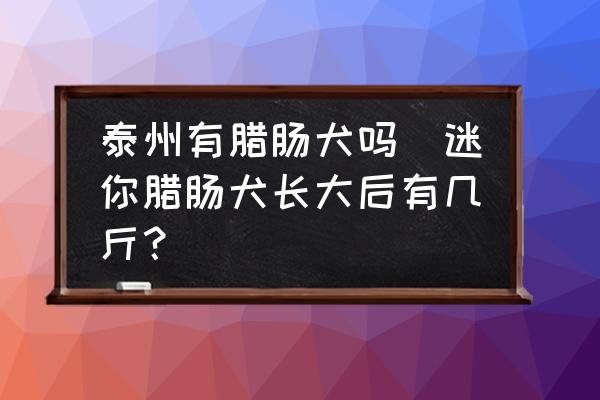 泰州有臘腸犬嗎(迷你臘腸犬長大后有幾斤？)