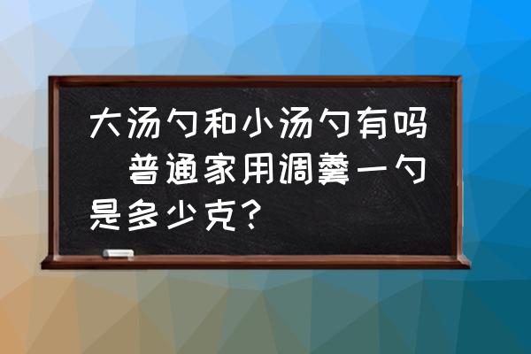 大湯勺和小湯勺有嗎(普通家用調(diào)羹一勺是多少克？)