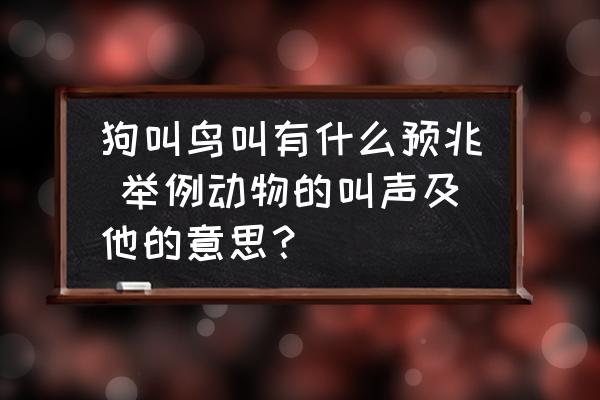 狗叫鳥叫有什么預(yù)兆 舉例動物的叫聲及他的意思？