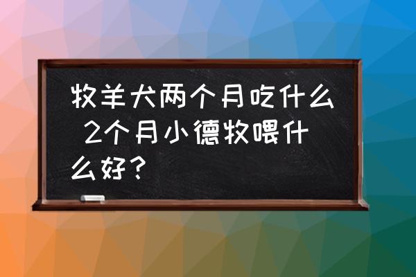 牧羊犬兩個(gè)月吃什么 2個(gè)月小德牧喂什么好？