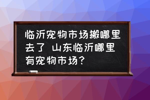 臨沂寵物市場搬哪里去了 山東臨沂哪里有寵物市場？