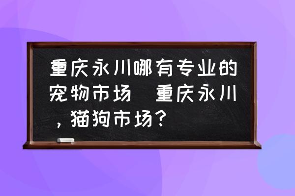 重慶永川哪有專業(yè)的寵物市場(重慶永川，貓狗市場？)