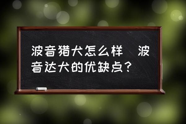 波音獵犬怎么樣(波音達犬的優(yōu)缺點？)