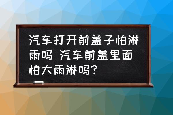 汽車打開前蓋子怕淋雨嗎 汽車前蓋里面怕大雨淋嗎？
