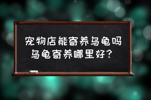 寵物店能寄養(yǎng)烏龜嗎 烏龜寄養(yǎng)哪里好？