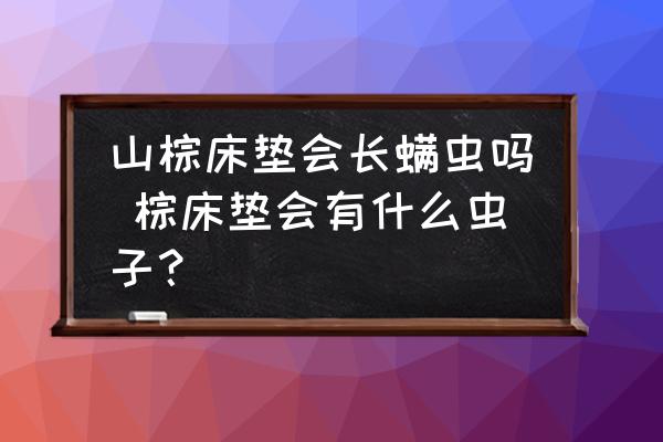 山棕床墊會長螨蟲嗎 棕床墊會有什么蟲子？